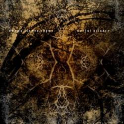 Woeful Silence : Swamp Flower - Rhyme Woeful Silence Woeful Silence : Swamp Flower - Rhyme Woeful Silence